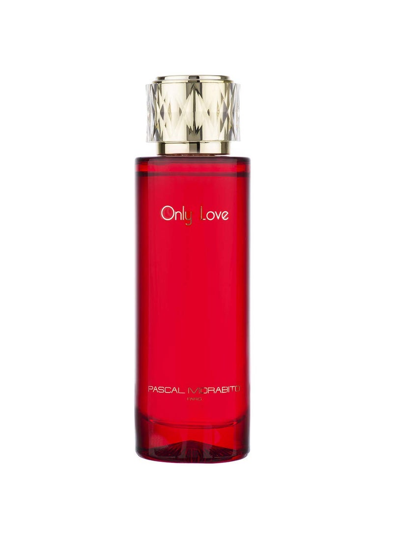 Only Love  Enchanting Perfume for Women  Vanilla Perfume with Mandarin Jasmine Patchouli Amber Notes  Gifts for Women  34 oz