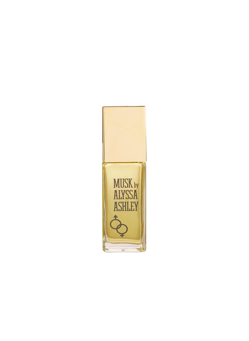 Alyssa Ashley Musk  Perfume for Men and Women with Citrus and Sicilian Bergamot  Long Lasting  Womens Fragrances  17 oz EDT Spray