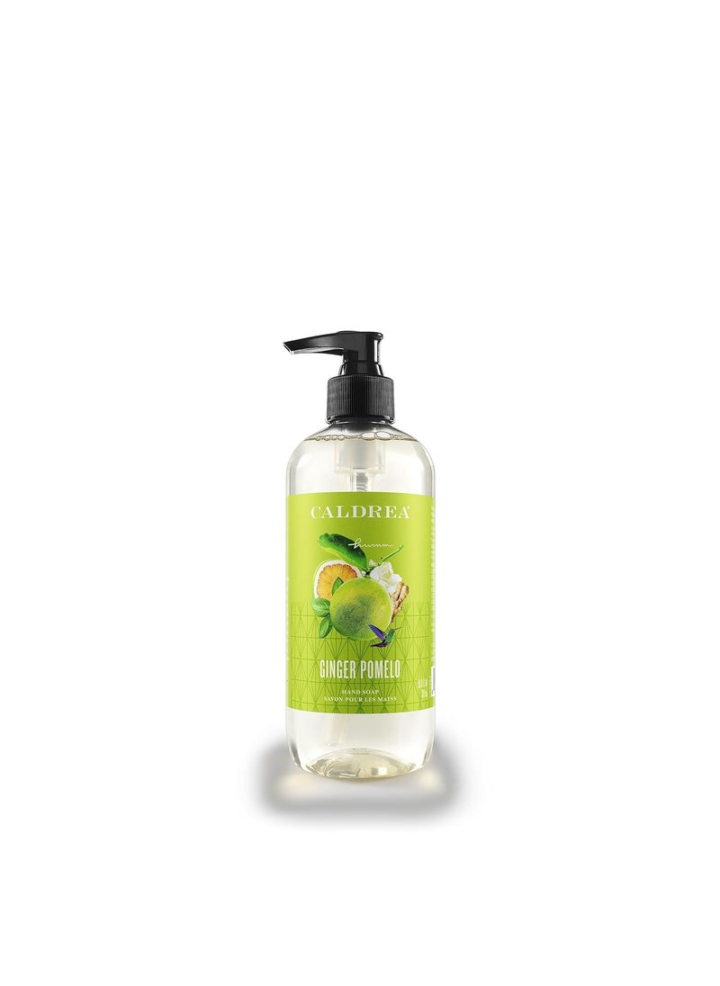 Caldrea Hand Wash Soap Aloe Vera Gel Olive Oil and Essential Oils to Cleanse and Condition Ginger Pomelo Scent 108 oz Packaging May Vary
