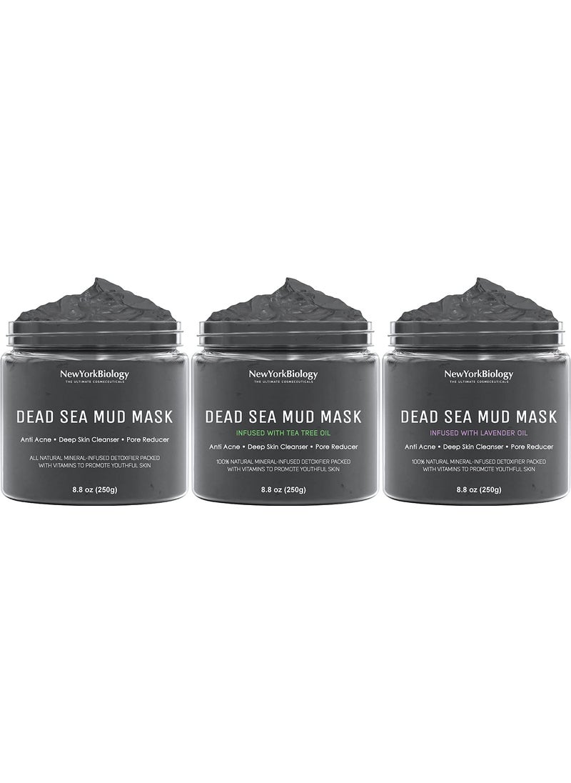 New York Biology Dead Sea Mud Mask for Face and Body with Dead Sea Mud Mask infused with Tea Tree and Dead Sea Mud Mask Infused with Lavender  Spa Quality Pore Reducer for Acne Blackheads  88 Oz