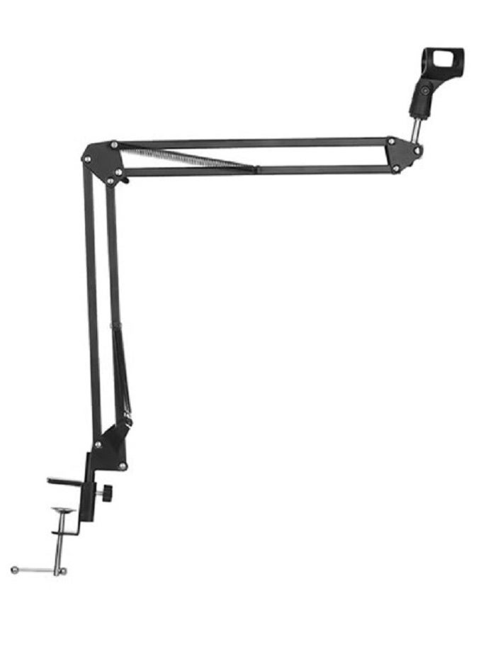 Professional Microphone Stand