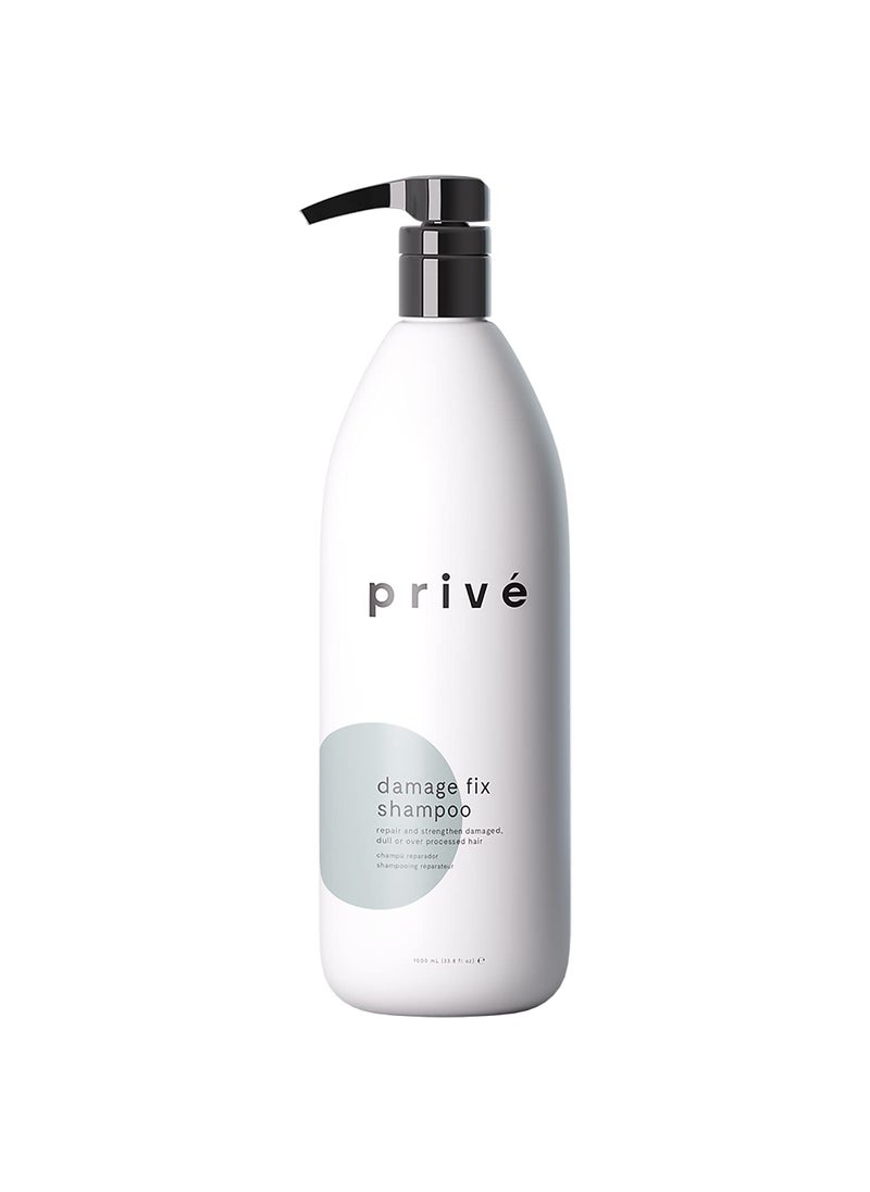 Prive Damage Fix Shampoo  Repair and Strengthen Damaged Dull or Over Processed Hair from Within Natural Ingredients Vegan CrueltyFree ColorSafe 338oz