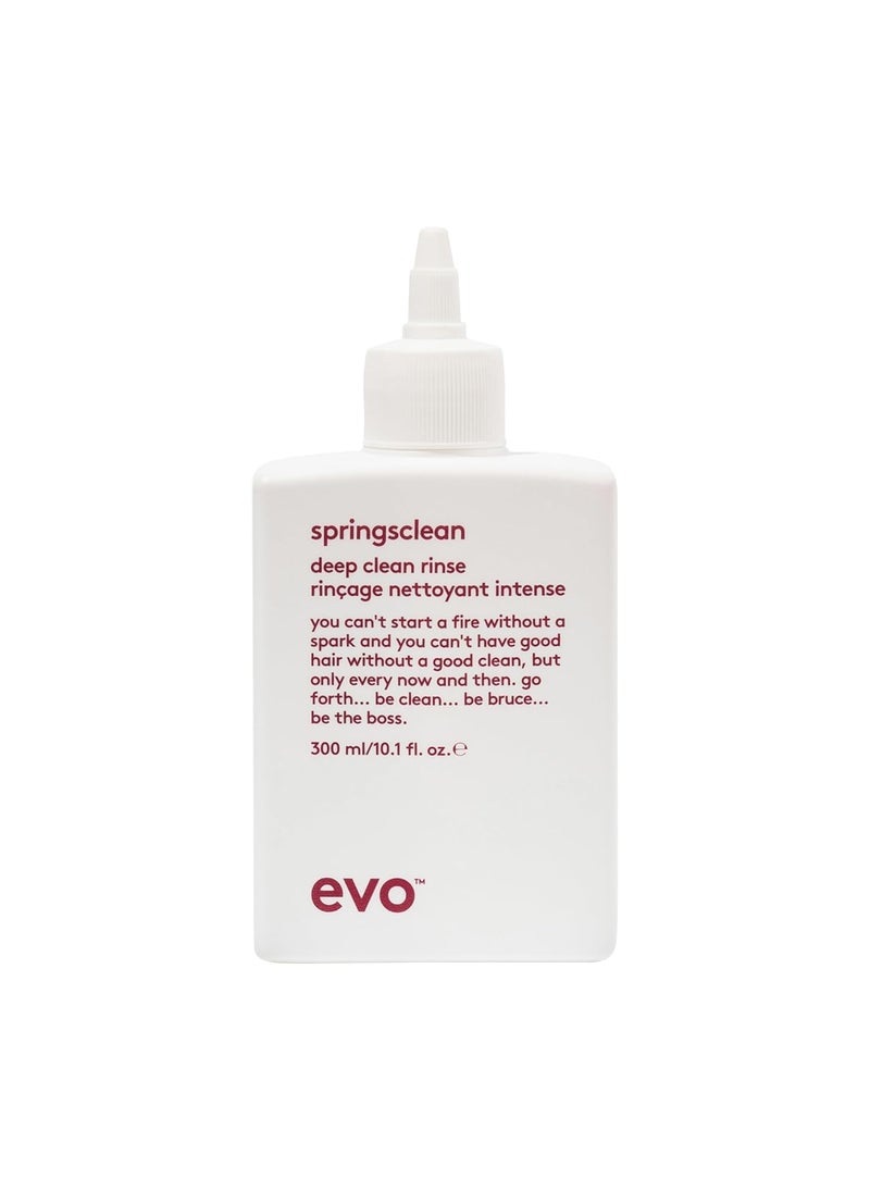 EVO Springsclean Shampoo  Deep Cleansing  Gentle Moisturizing  For Natural Shiny Soft Curly  Wavy Hair