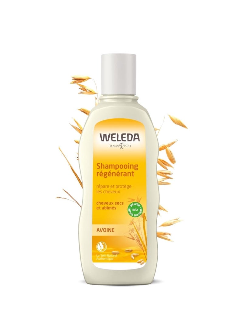 WELEDA  Shampooing Rgnrant  lAvoine  Soin Cheveux Secs et Abms  Flacon de 190 ml