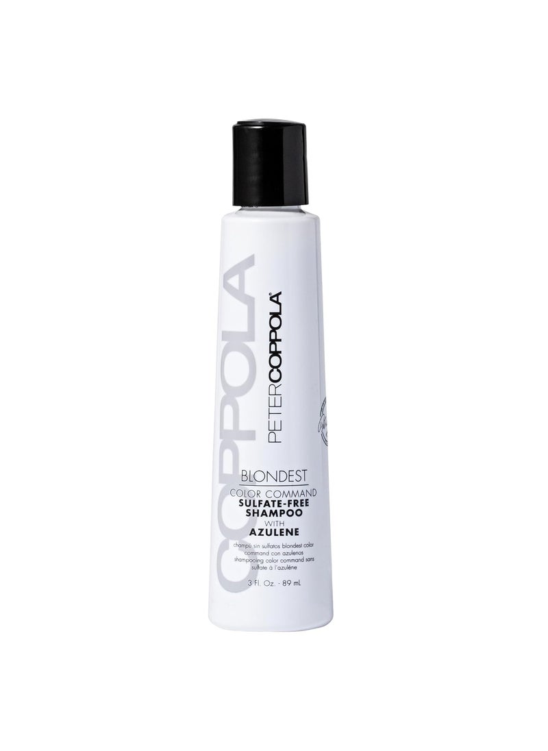 PETER COPPOLA Purple Shampoo for Blonde Hair  SulfateFree Eliminates Brassy Yellow Tones  Strengthens Processed and Dry Hair  Keratin Protein  For Daily Use 3 Fl Oz