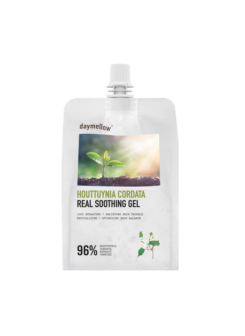 Daymellow Houttuynia cordata real soothing gel 300g