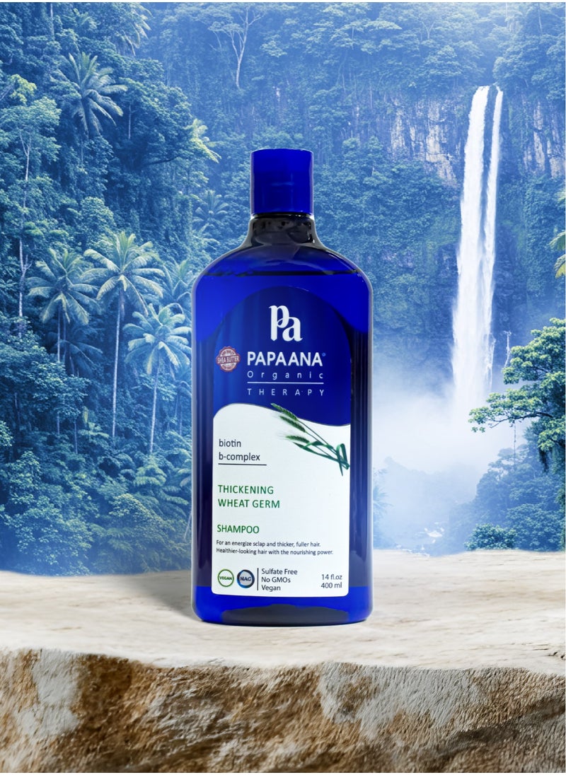 Thickening Wheat Germ Shampoo with Shea Butter – 400ml, Strengthens & Thickens for Fuller, Healthier Hair with Shea Butter