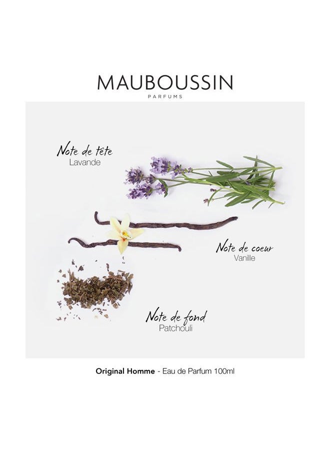 Original Homme 100ml (3.3 Fl Oz) - Eau de Parfum for Men - Woody & Aromatic Scents