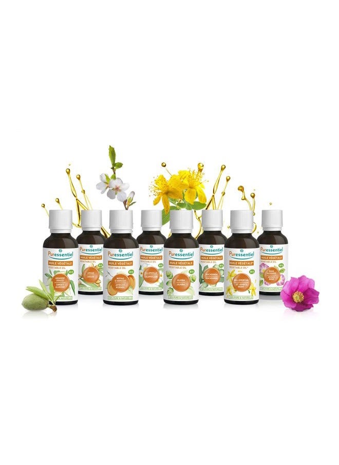 Organic Carrier Oil - Pure, Natural, and Organically Made - Beneficial Blend of Vegetable Oil and Essential Oils - Facilitates Healthy Absorption of Ingredients - Shea - 3.38 oz