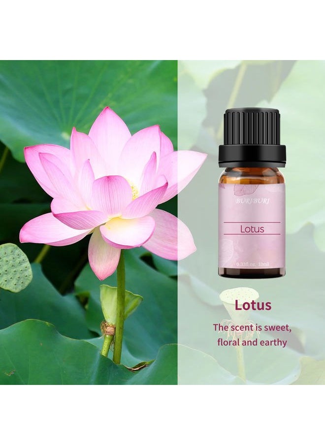 Lotus Essential Oil 100% Pure, Undiluted, Natural, Organic Aromatherapy Lotus Oils 10ML for Diffuser Soap Candle Making Home