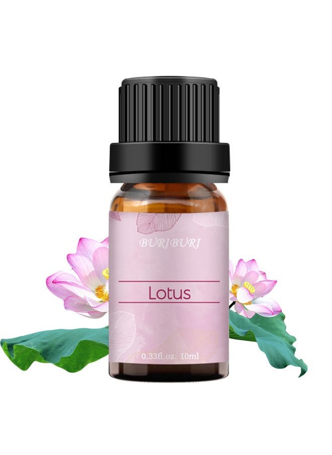 Lotus Essential Oil 100% Pure, Undiluted, Natural, Organic Aromatherapy Lotus Oils 10ML for Diffuser Soap Candle Making Home