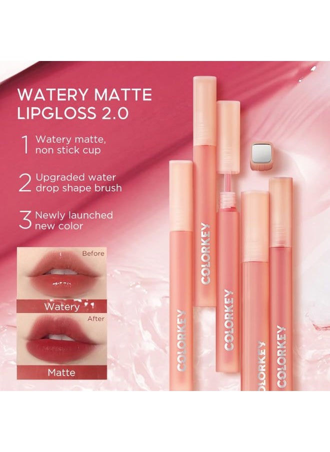 Soft Matte Water Lip Tint, Matte Finishs, Long-Lasting, Moist Fit Without Stickiness, Moisturized, Waterproof, Liquid Lipstick, Nude lip color (R303 Mist Thorns)