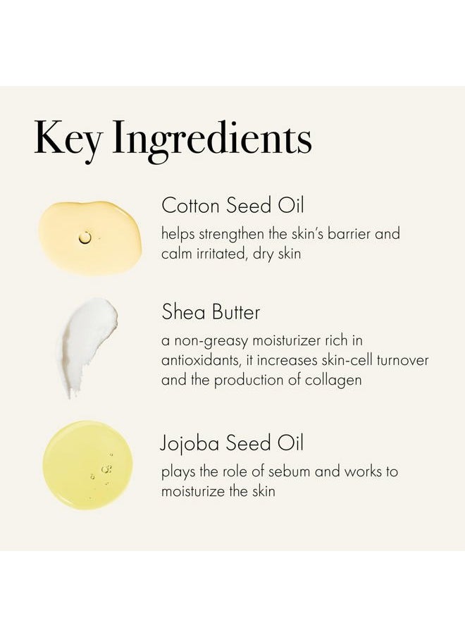 Hand Cream, Champagne - 12 oz - Restores & Repairs Skin - All Skin Types - Hypoallergenic, Synthetic Free & Cruelty Free - Made in Italy