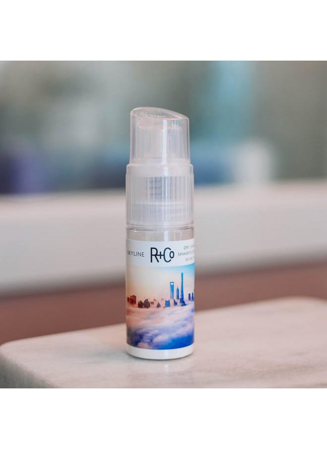 Skyline Dry Shampoo Powder | Intense Oil Absorption | Revives Volume, Hair Texture and Grip | TSA Approved | 1 Fl Oz