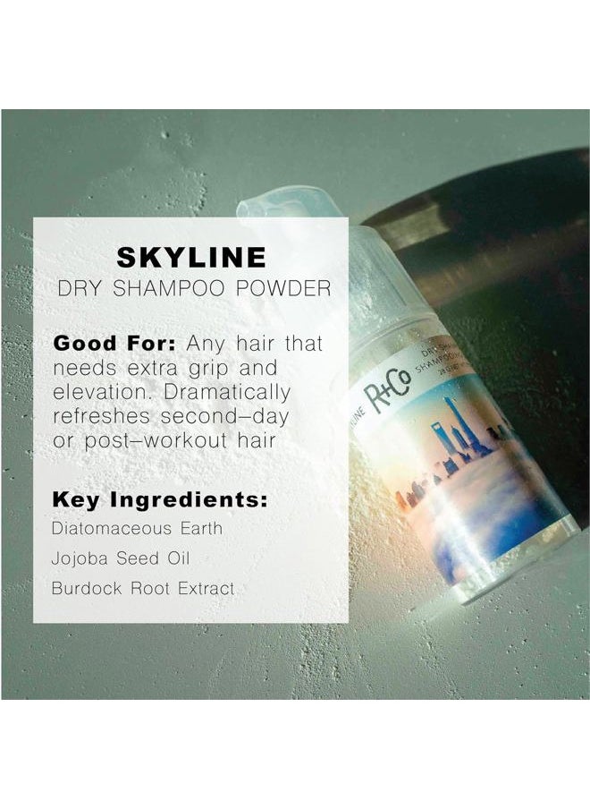 Skyline Dry Shampoo Powder | Intense Oil Absorption | Revives Volume, Hair Texture and Grip | TSA Approved | 1 Fl Oz