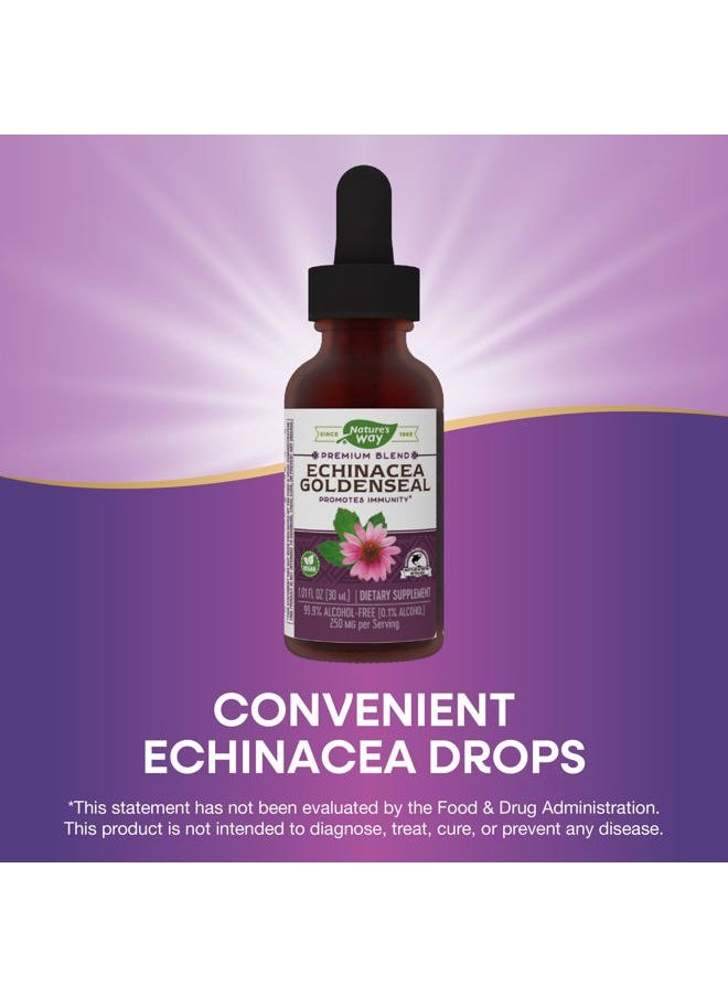 Premium Formula Echinacea-Goldenseal, 250 mg per serving, 99.9% Alcohol-Free, 1.01 Oz.