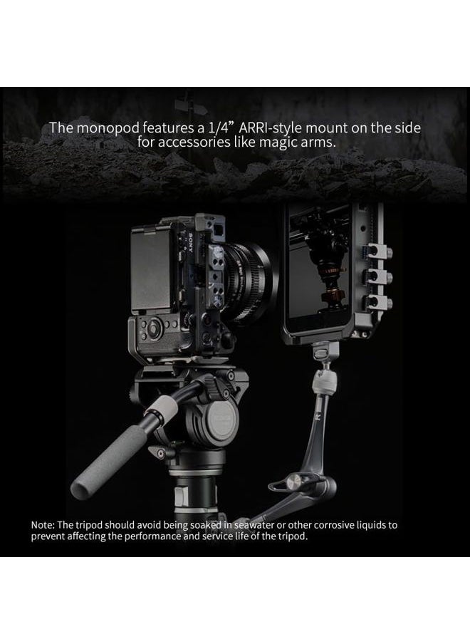 Pineta Carbon Fiber Camera Monopod, Professional Camera Monopod, Camera Tripod with FEISO Release System,Stands Adapted for Mobile Phones，Stands adapted for Table Computers