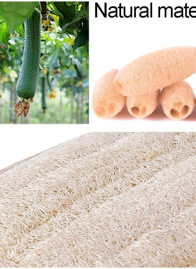 Back Scrubber for Shower, Hands-Free Natural Back Loofah for Shower,Replacement Loofah Shower Brush