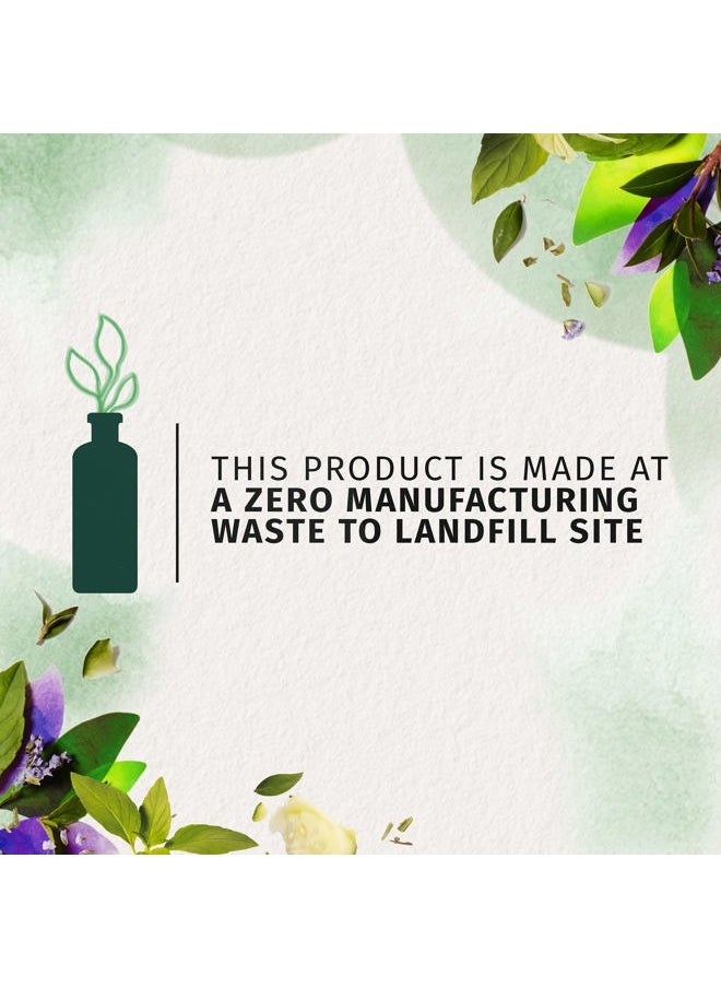 Cucumber and Green Tea Conditioner, 13.5 oz