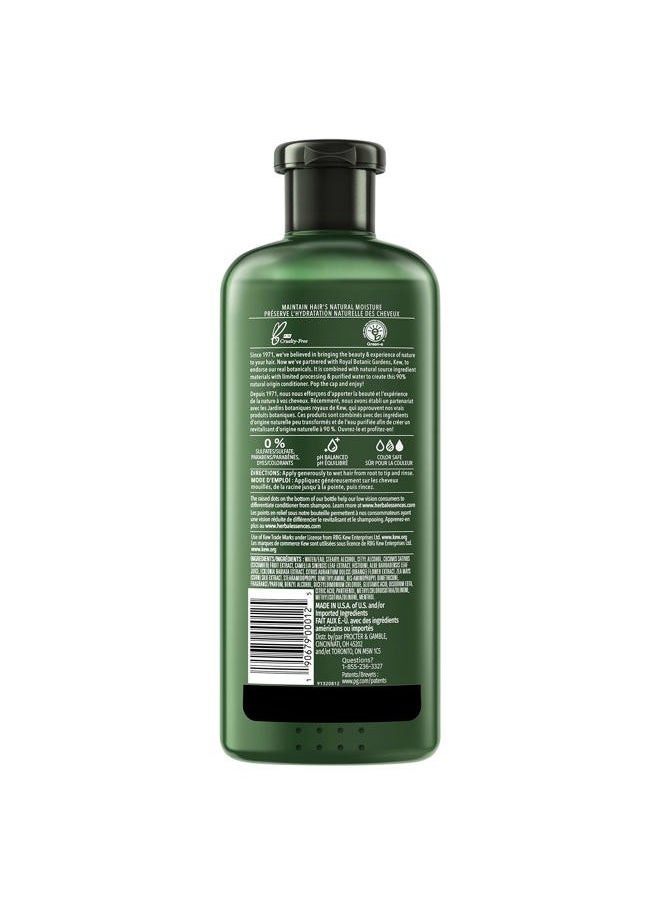 Cucumber and Green Tea Conditioner, 13.5 oz