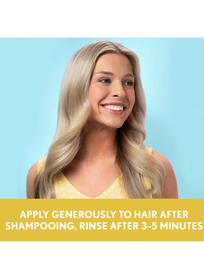 Sunflower Oil Blend Conditioner, for Dry Damaged Hair, Dye, Paraben & Sulfate Surfactants Free, 12oz