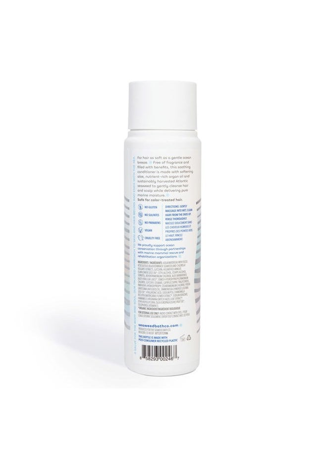 Seaweed Bath Co. Gentle Conditioner, Unscented, 12 Ounce, Sustainably Harvested Seaweed, Aloe, Argan Oil, for Sensitive Scalps