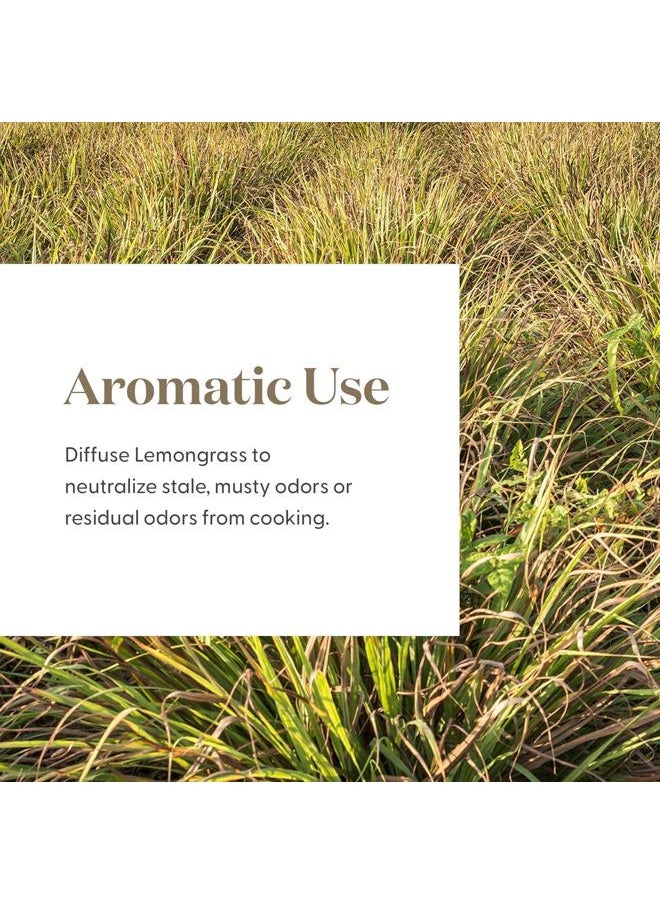 Lemongrass Essential Oil by Young Living, 15 Milliliters, Topical and Aromatic