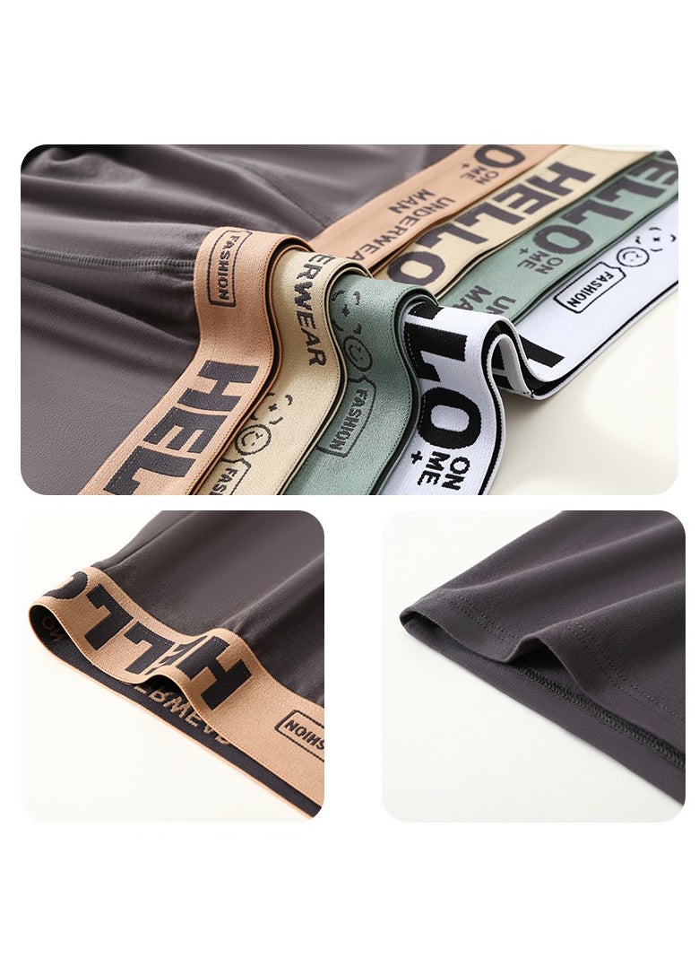 5 Pieces Mens Boxer Briefs