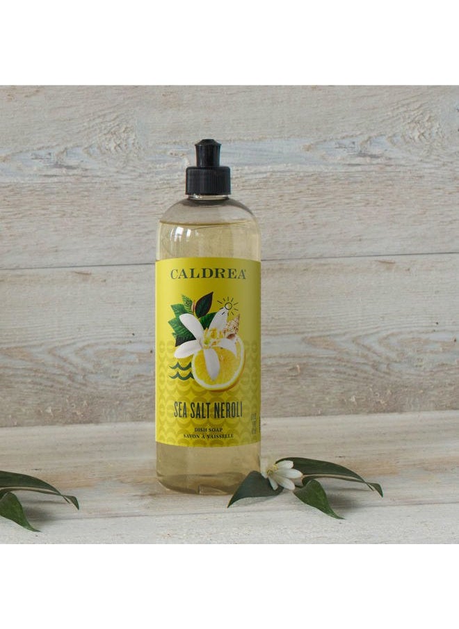 Dish Soap, Biodegradable Dishwashing Liquid made with Soap Bark and Aloe Vera, Sea Salt Neroli, 16 oz , 3 Pack