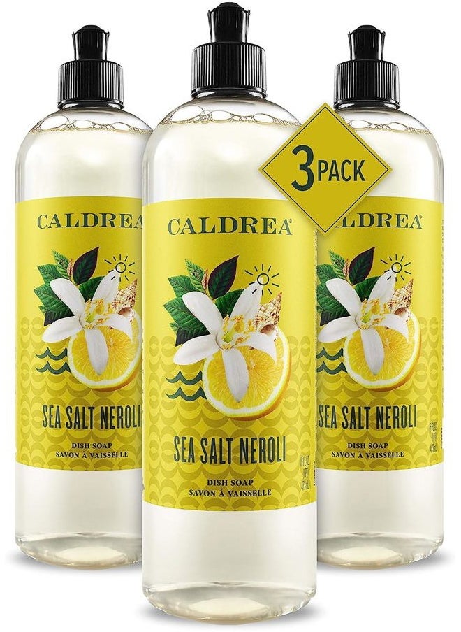 Dish Soap, Biodegradable Dishwashing Liquid made with Soap Bark and Aloe Vera, Sea Salt Neroli, 16 oz , 3 Pack