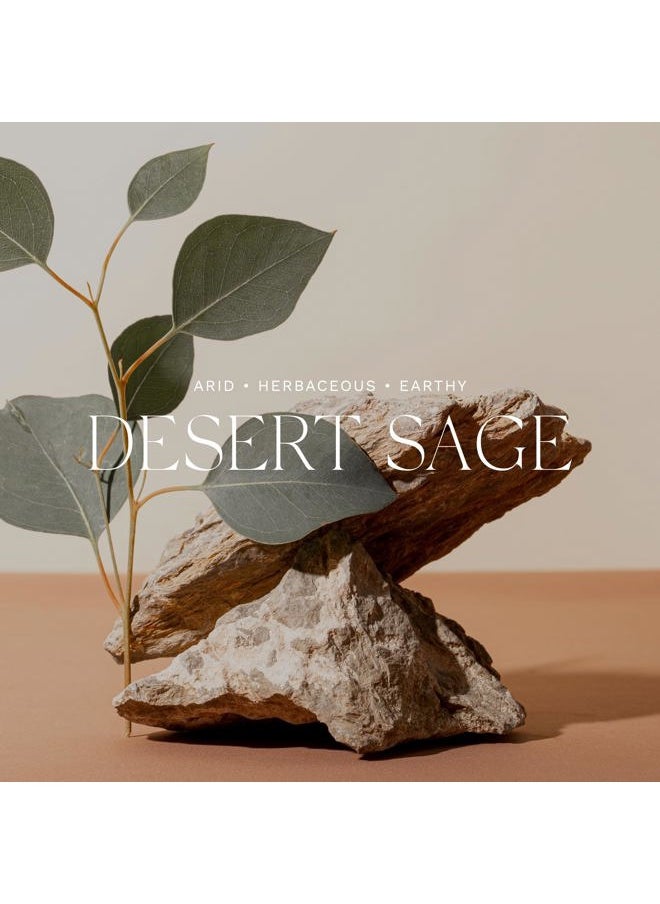Hand Wash -Desert Sage, 10 Fl Oz (Pack of 1)