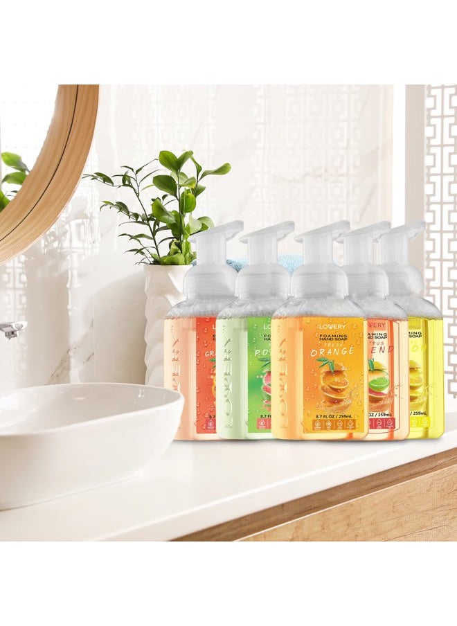 Foaming Hand Soap - Pack of 5 - Moisturizing Hand Soap with Aloe Vera & Essential Oils - Alcohol-Free Hand Wash in Citrus Blend, Lemon, Orange, Lime, Pink Grapefruit Fragrances for Kitchen & Bathroom