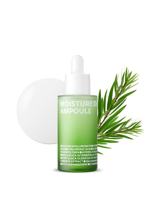 Moisture Dr. Ampoule 40ml (1.35 fl.oz) | Hydrating Soothing Daily Facial Serum for Dry and Sensitive Skin with Tea Tree Ceramide, Hyaluronic Acid | Skin Barrier Repair | Korean Skincare