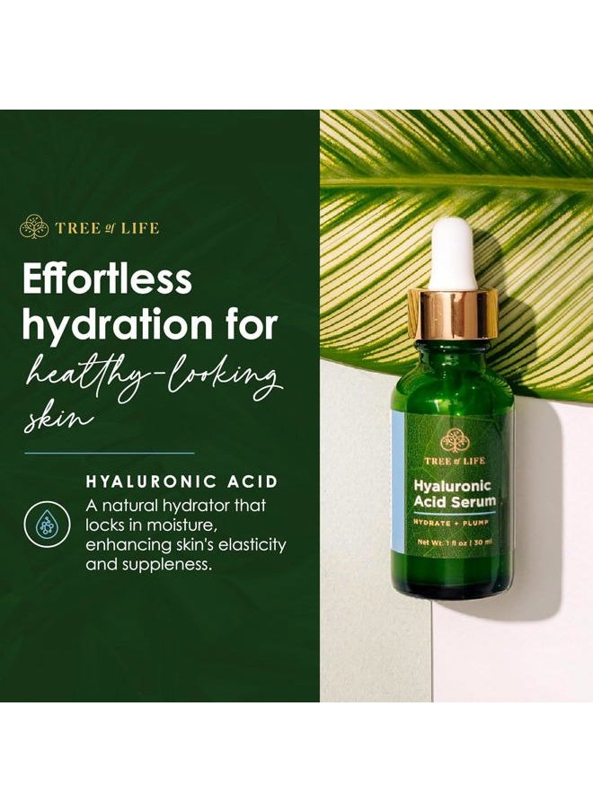 Facial Skin Care Set, Brightening, Firming, Hydrating, Dry Face, Dermatologist Tested - Vitamin C and Hyaluronic Acid Facial Serum - Skin Care Kit, 2 count of 1 Fl Oz