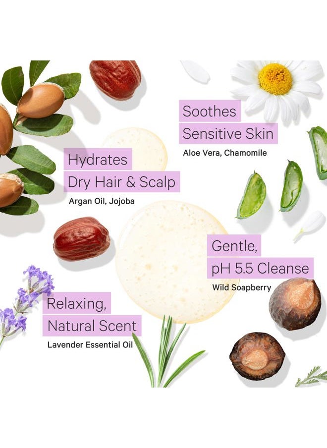 Lavender Dry Hair Shampoo for Sensitive Scalp - Gentle Hydrating Dry Scalp Shampoo for Women & Men, Moisturizing Sulfate Free Shampoo w/Organic Argan Oil, Chamomile, All Natural Aloe Vera