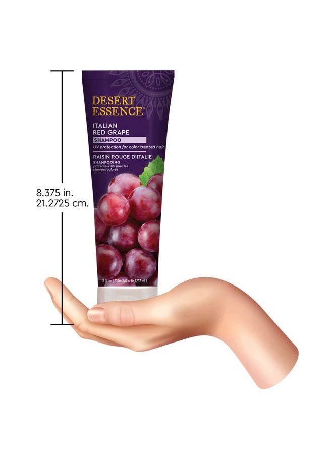 , Italian Red Grape Shampoo, 8.0 fl. Oz. - Gluten Free - Vegan - Cruelty Free - Moisturizing Shampoo - UV Protection - Color Treated Hair