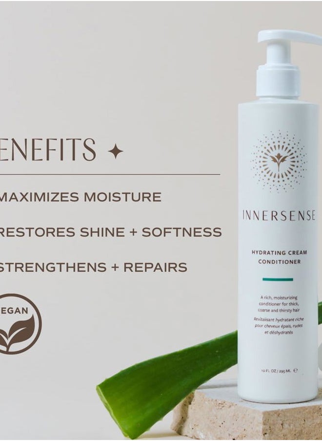 Organic Beauty - Natural Hydrating Cream Conditioner | Non-Toxic, Cruelty-Free, Clean Haircare (10oz)