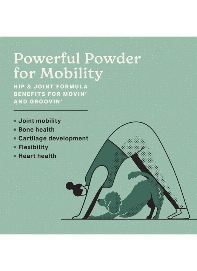 Hip & Joint + Probiotics Supplement 5lb Bag - Superfood Powder for Dog Cartilage & Bone Health, Joint Mobility & Flexibility