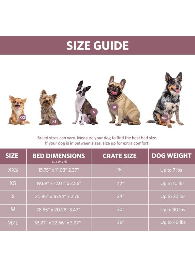 Bolster Dog Bed 18L-Inch Pink Dog Bed or Cat Bed w/Comfortable Bolster | Ideal for Toy Dog Breeds & Fits an 18-Inch Dog Crate | Easy Maintenance Machine Wash & Dry