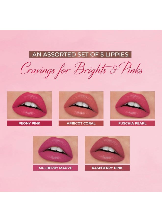 Organic Liquid Lipstick Kit Set of 5, Hydrating & Lightweight Lip Color - Paraben & Silicon Free - 1.6 fl oz. (Brights & Pinks)