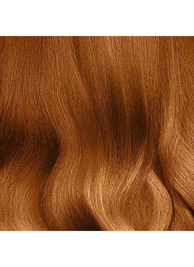 Ion Permanent Creme Hair Color - Copper Blonde