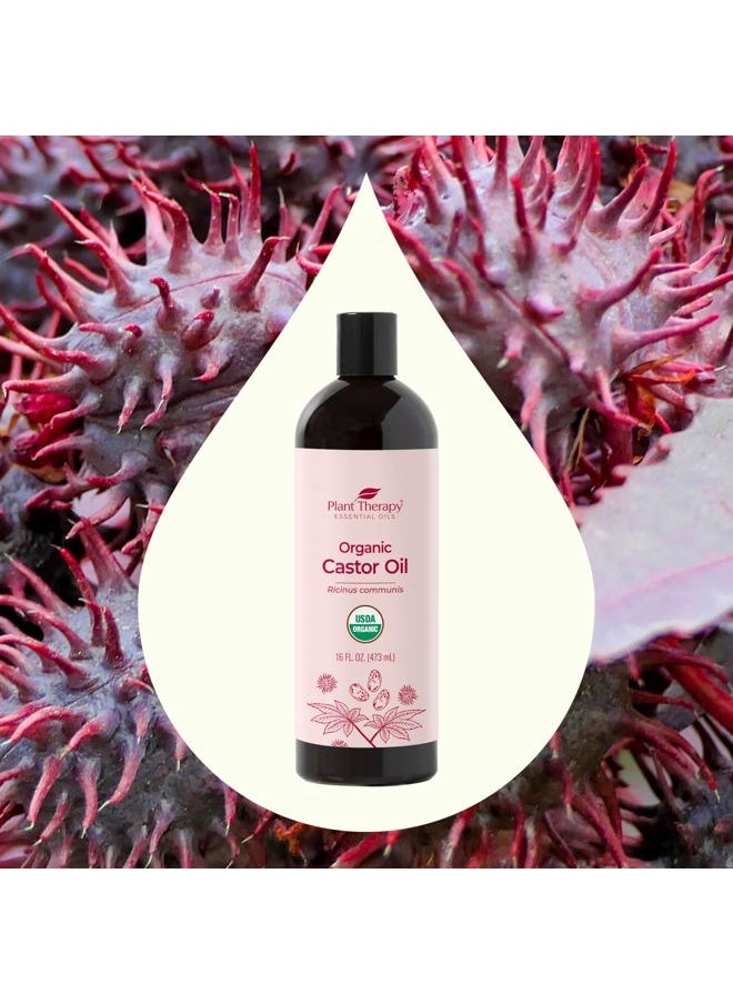 Organic Castor Oil 16oz - 100% Pure & Natural Grade for Nourishing Hair and Skin Treatment - Cold Pressed - USDA Certified - Hexane Free - Stimulates Hair Growth, Treats Dry Skin