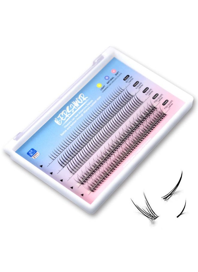 BlueSmurfs Individual Fairy Eyelashes Extensions Fluffy DIY Cute Eye Cluster Eyelashes Natural Faux Mink False Eye Lashes Multipack of 170 Mini Individuals Fairy Lash Clusters (Include Bottom Lashes)