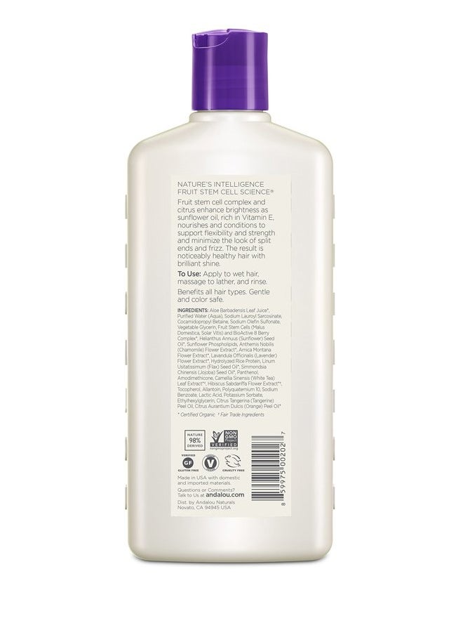 Lavender & Biotin Full Volume Shampoo,Purple,11.5 Fl Oz (Pack of 1)