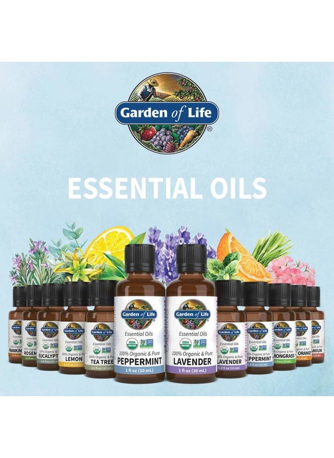 Essential Oil, Lemon USDA Organic & Pure, Clean, Undiluted & Non-GMO for Diffuser, Aromatherapy, Meditation, Joyful, Aromatic, Calming, Refreshing, 0.5 Fl Oz