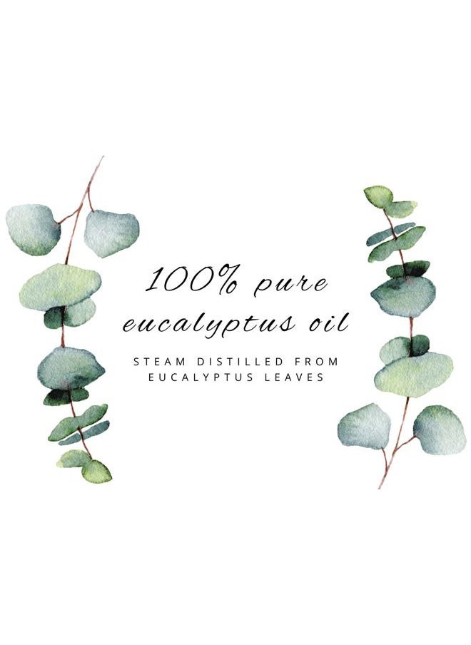 Eucalyptus Globulus Essential Oil – 16 fl oz (473 ml) Aluminum Bottle w/Plug Cap – 100% Pure, Uncut, Undiluted