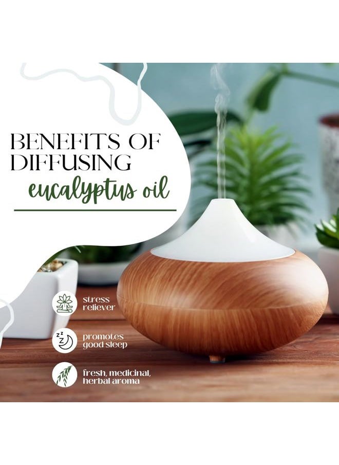 Eucalyptus Globulus Essential Oil – 16 fl oz (473 ml) Aluminum Bottle w/Plug Cap – 100% Pure, Uncut, Undiluted