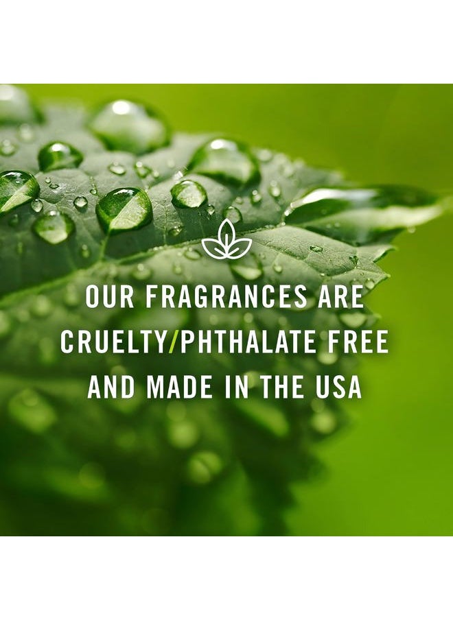 Fragrance Oil Winter Set | Candle Scents for Candle Making, Freshie Scents, Soap Making Supplies, Diffuser Oil Scents