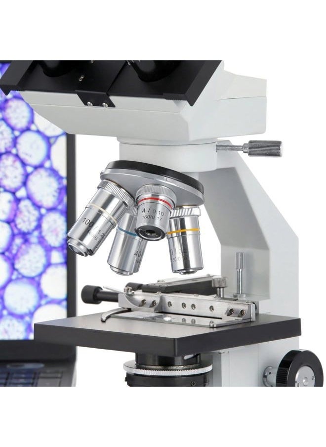 B100B-MS Compound Binocular Microscope, 40X-2000X Magnification, Brightfield, Tungsten Illumination, Abbe Condenser, Mechanical Stage