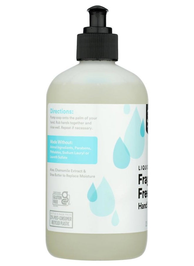 , Fragrance Free Liquid Hand Soap, 12.5 Fl Oz